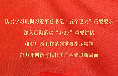 認(rèn)真學(xué)習(xí)貫徹習(xí)近平總書(shū)記“五個(gè)更大”重要要求，深入貫徹落實(shí)“4·27”重要講話(huà)和對(duì)廣西工作系列重要指示精神，奮力開(kāi)創(chuàng)新時(shí)代壯美廣西建設(shè)新局面